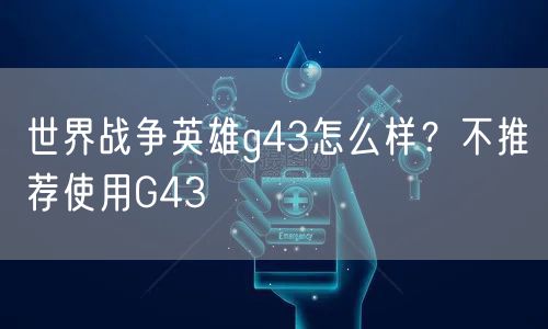 世界战争英雄g43怎么样？不推荐使用G43