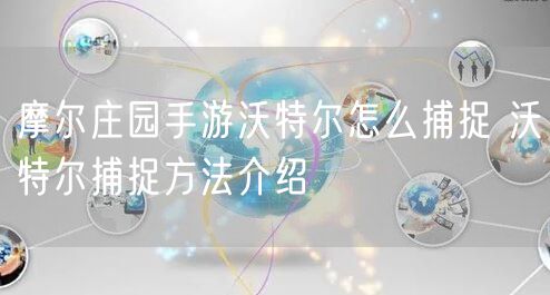 摩尔庄园手游沃特尔怎么捕捉 沃特尔捕捉方法介绍