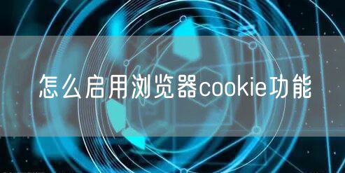 怎么启用浏览器cookie功能