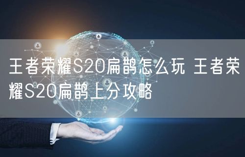 王者荣耀S20扁鹊怎么玩 王者荣耀S20扁鹊上分攻略