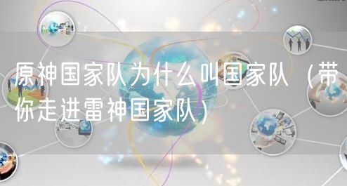 原神国家队为什么叫国家队（带你走进雷神国家队）