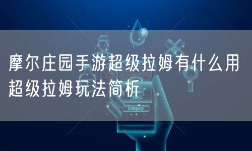 摩尔庄园手游超级拉姆有什么用 超级拉姆玩法简析