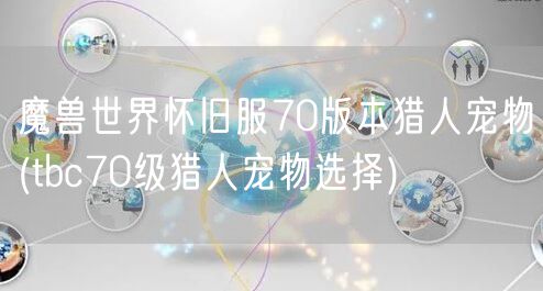 魔兽世界怀旧服70版本猎人宠物(tbc70级猎人宠物选择)