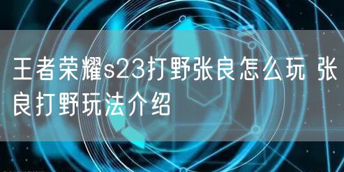 王者荣耀s23打野张良怎么玩 张良打野玩法介绍