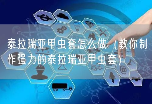 泰拉瑞亚甲虫套怎么做（教你制作强力的泰拉瑞亚甲虫套）