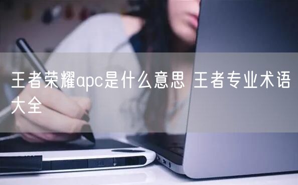 王者荣耀apc是什么意思 王者专业术语大全