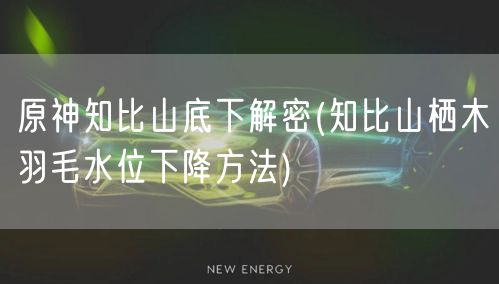 原神知比山底下解密(知比山栖木羽毛水位下降方法)