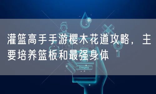 灌篮高手手游樱木花道攻略，主要培养篮板和最强身体