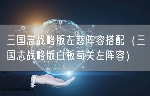 三国志战略版左慈阵容搭配（三国志战略版白板荀关左阵容）