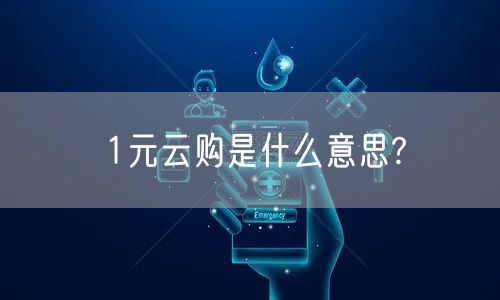 1元云购是什么意思?