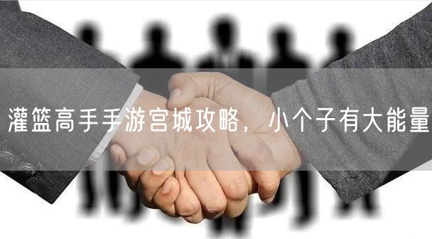 灌篮高手手游宫城攻略，小个子有大能量