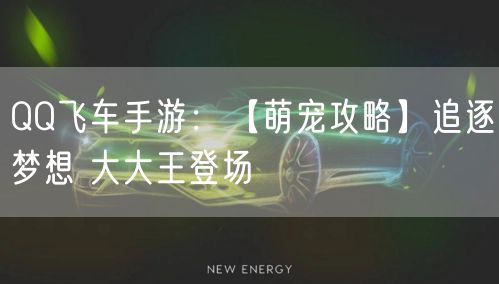 QQ飞车手游：【萌宠攻略】追逐梦想 大大王登场