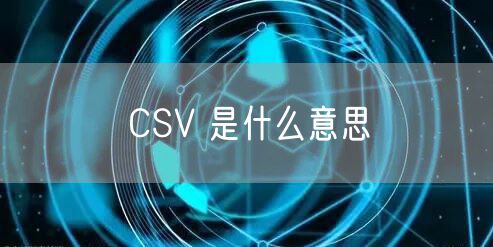 CSV 是什么意思