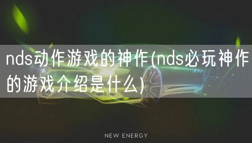nds动作游戏的神作(nds必玩神作的游戏介绍是什么)