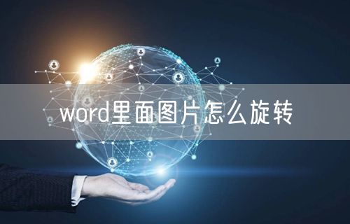 word里面图片怎么旋转