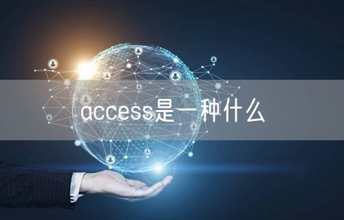 access是一种什么