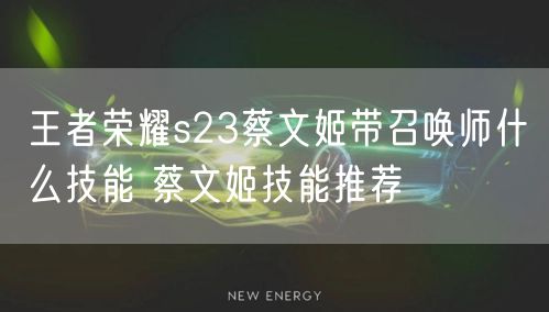 王者荣耀s23蔡文姬带召唤师什么技能 蔡文姬技能推荐