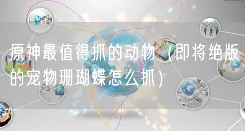 原神最值得抓的动物（即将绝版的宠物珊瑚蝶怎么抓）