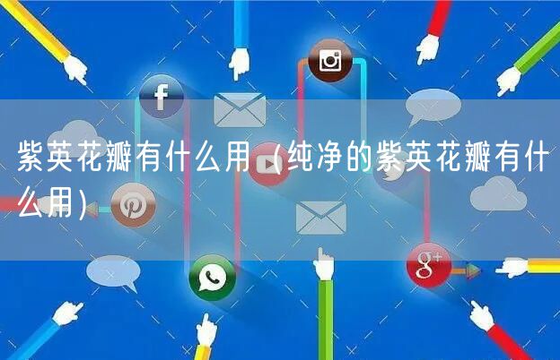 紫英花瓣有什么用（纯净的紫英花瓣有什么用）