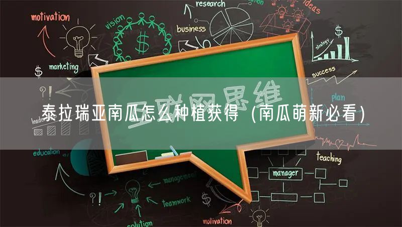 泰拉瑞亚南瓜怎么种植获得（南瓜萌新必看）