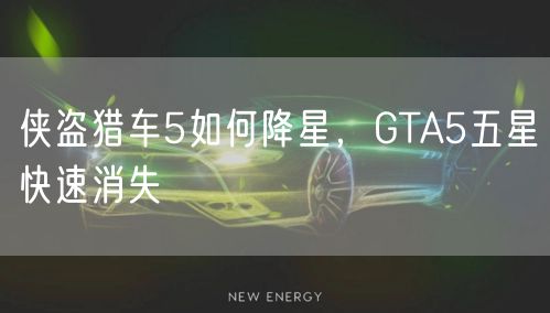 侠盗猎车5如何降星，GTA5五星快速消失