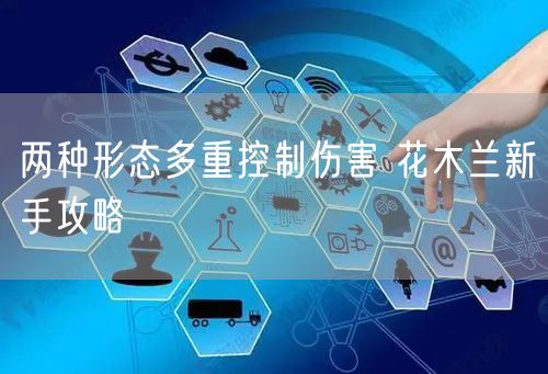 两种形态多重控制伤害 花木兰新手攻略