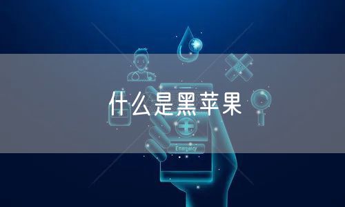 什么是黑苹果
