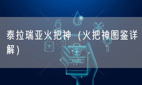 泰拉瑞亚火把神（火把神图鉴详解）