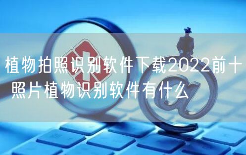 植物拍照识别软件下载2022前十 照片植物识别软件有什么