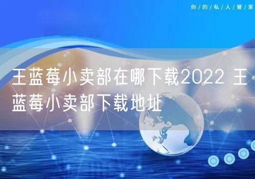王蓝莓小卖部在哪下载2022 王蓝莓小卖部下载地址