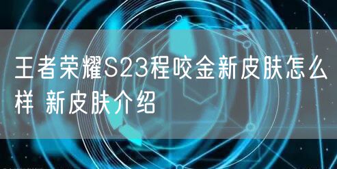 王者荣耀S23程咬金新皮肤怎么样 新皮肤介绍