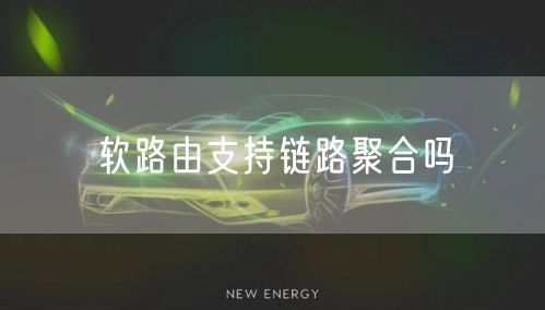 软路由支持链路聚合吗