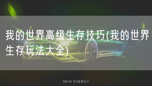 我的世界高级生存技巧(我的世界生存玩法大全)