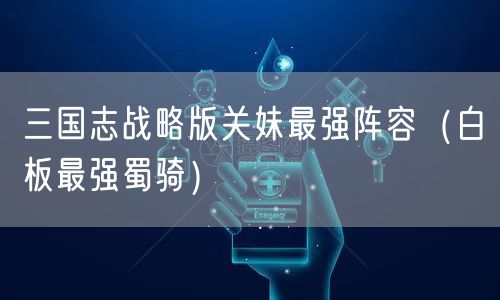 三国志战略版关妹最强阵容（白板最强蜀骑）