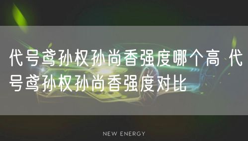 代号鸢孙权孙尚香强度哪个高 代号鸢孙权孙尚香强度对比