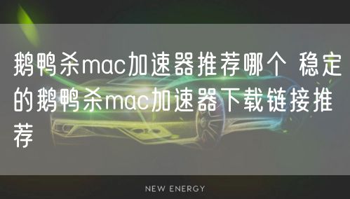 鹅鸭杀mac加速器推荐哪个 稳定的鹅鸭杀mac加速器下载链接推荐