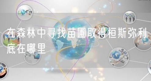 在森林中寻找苗圃取得桓斯弥利底在哪里
