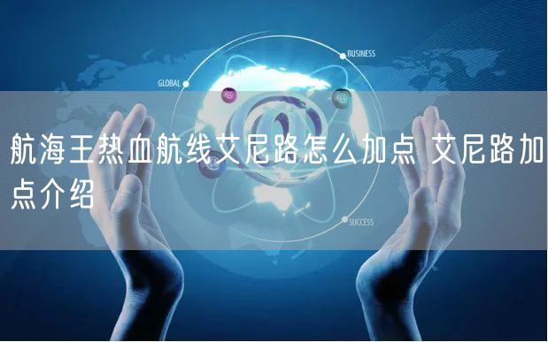 航海王热血航线艾尼路怎么加点 艾尼路加点介绍