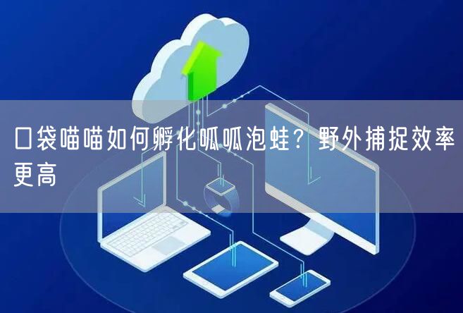 口袋喵喵如何孵化呱呱泡蛙？野外捕捉效率更高