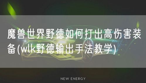 魔兽世界野德如何打出高伤害装备(wlk野德输出手法教学)