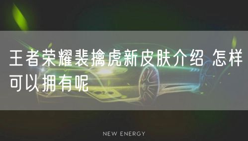 王者荣耀裴擒虎新皮肤介绍 怎样可以拥有呢