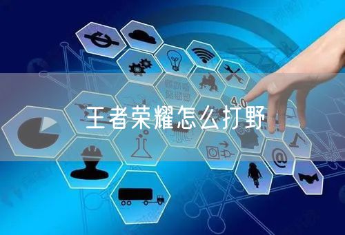 王者荣耀怎么打野