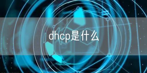 dhcp是什么