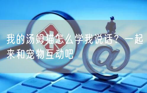 我的汤姆猫怎么学我说话？一起来和宠物互动吧