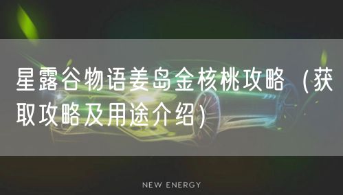 星露谷物语姜岛金核桃攻略（获取攻略及用途介绍）
