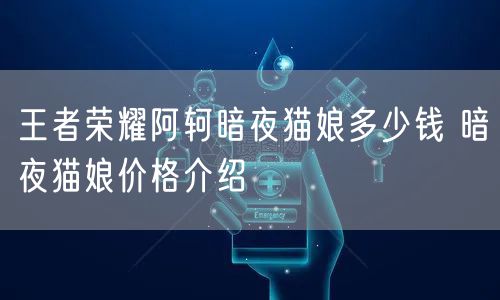 王者荣耀阿轲暗夜猫娘多少钱 暗夜猫娘价格介绍