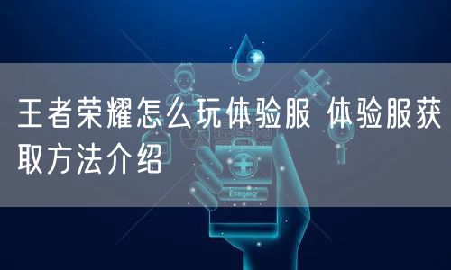 王者荣耀怎么玩体验服 体验服获取方法介绍