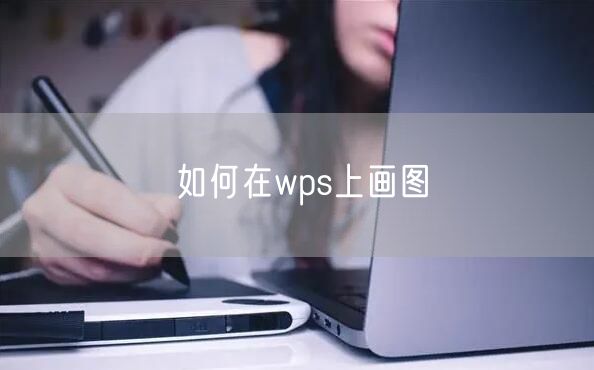 如何在wps上画图