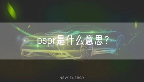pspr是什么意思？