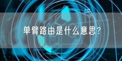 单臂路由是什么意思？
